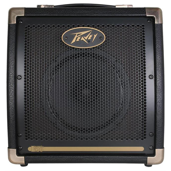 Peavey acoustic clearance amp