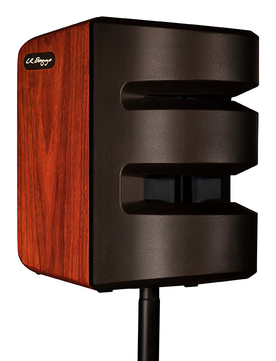 LR Baggs Synapse 2-Channel Personal PA System