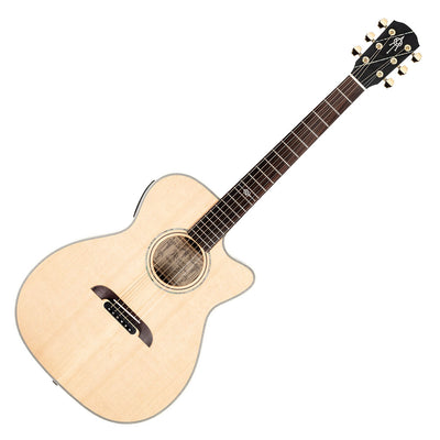 Alvarez Yairi WY1 Wier Model Acoustic Electric Guitar