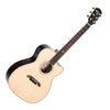 Alvarez Yairi WY1 Wier Model Acoustic Electric Guitar