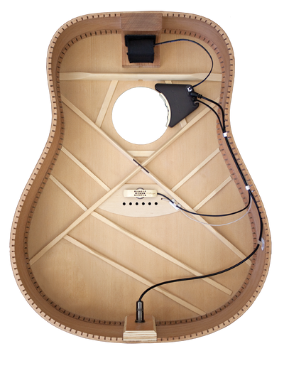 LR Baggs Anthem Soundhole Microphone/Undersaddle Acoustic Guitar Pickup