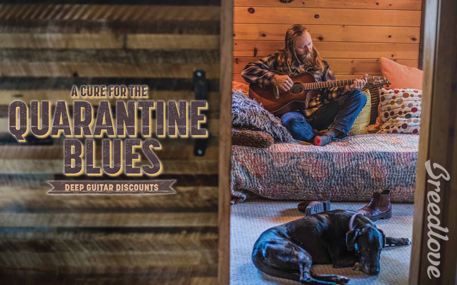 Breedlove Quarantine Blues Promo