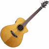 Breedlove Performer Pro Concert CE Rosewood Acoustic Guitar