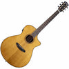 Breedlove Performer Pro Concerto CE Rosewood Acoustic Guitar