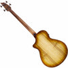 Breedlove Pursuit Exotic S Concerto Amber Fretless Bass CE