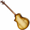 Breedlove Pursuit Exotic S Concerto Amber Fretless Bass CE