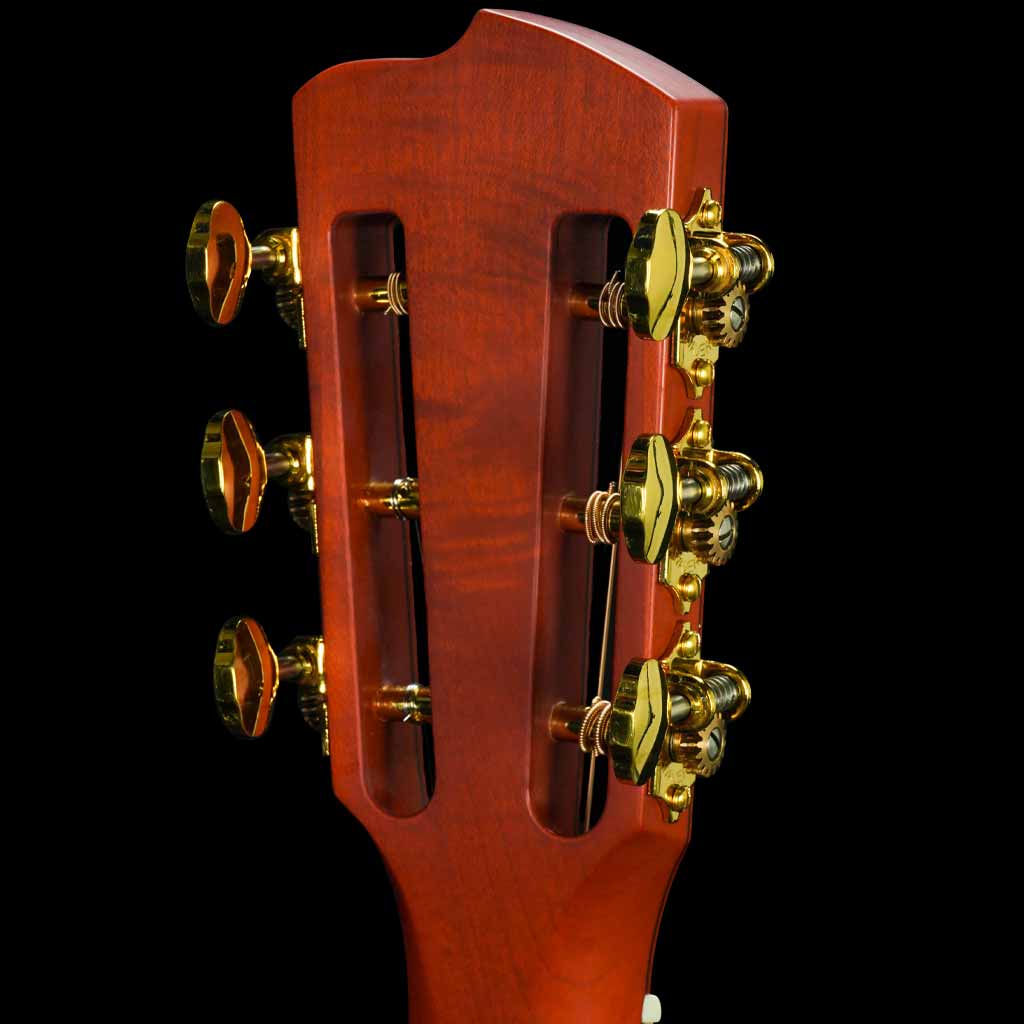 Breedlove TB Vintage Edition Blues Orange Concertina M1 Acoustic Guitar