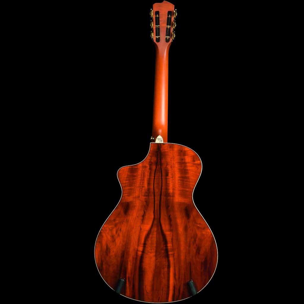 Breedlove TB Vintage Edition Blues Orange Concertina M1 Acoustic Guitar