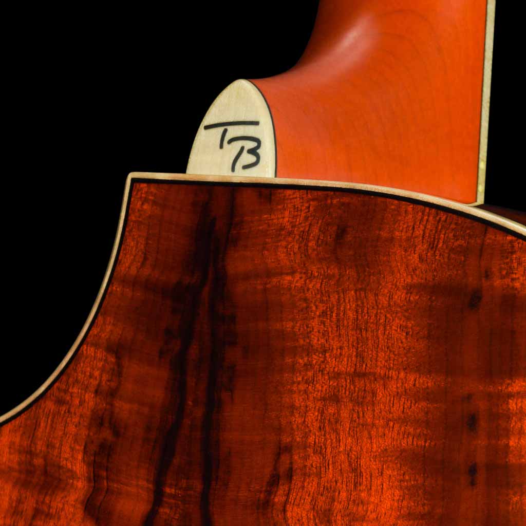Breedlove TB Vintage Edition Blues Orange Concertina M1 Acoustic Guitar