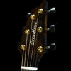 Breedlove Premier Concert Thinline CE Mineralized Buckskin Redwood and Brazilian Rosewood Limited Edition Acoustic Guitar