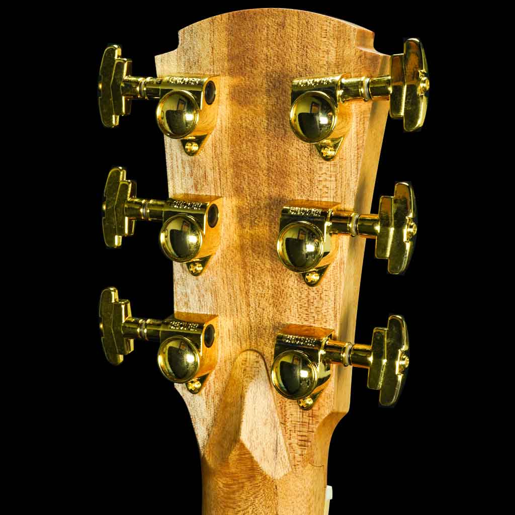 Cole Clark Angel 3 Series EC Cedar of Lebanon/Australian Blackwood Acoustic Electric Guitar