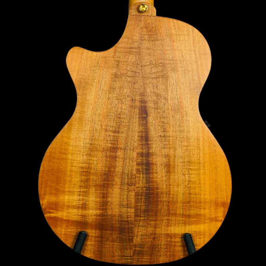 Cole Clark Angel 3 Series EC Cedar of Lebanon/Australian Blackwood Acoustic Electric Guitar