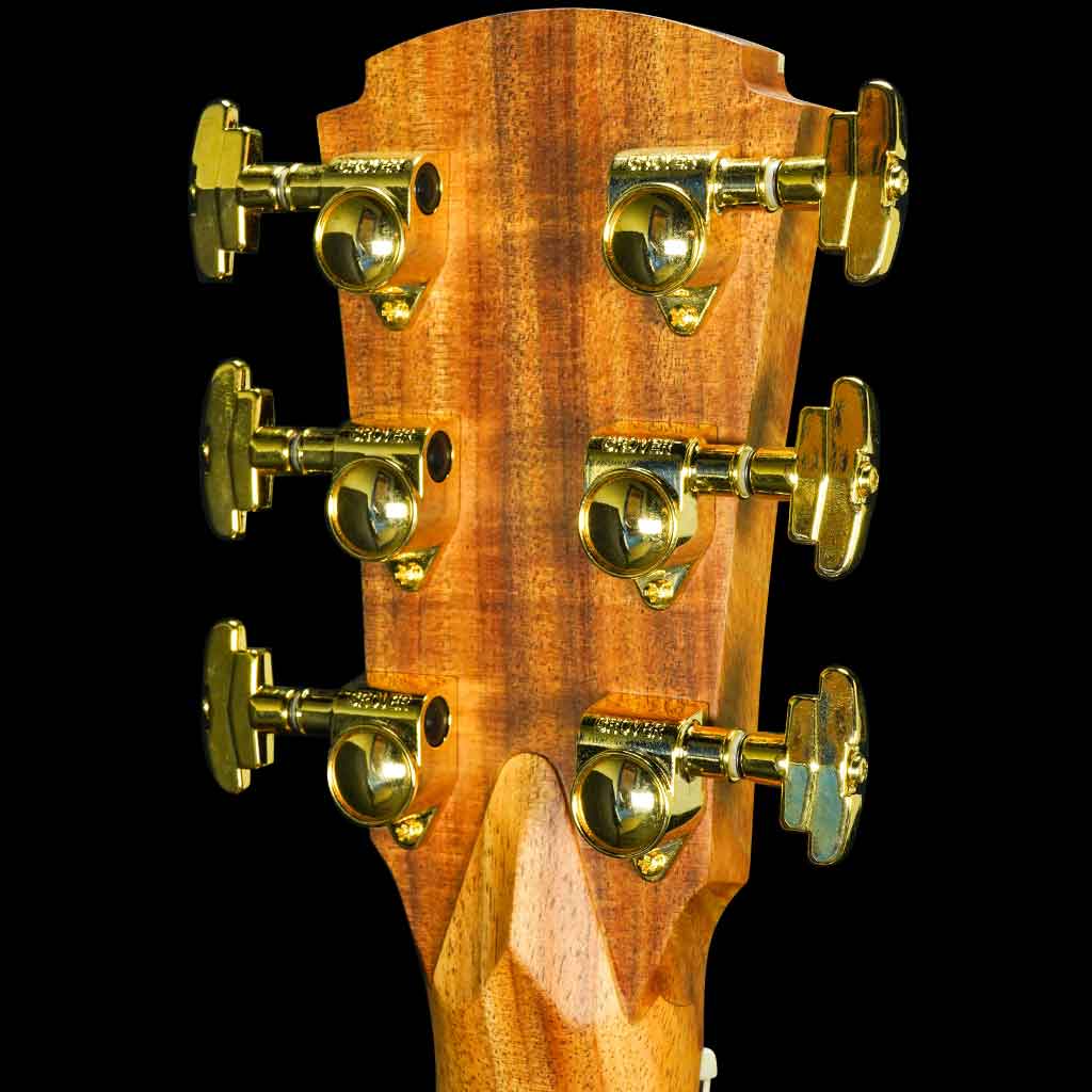 Cole Clark Angel 3 Series EC Cedar of Lebanon and European Maple Acoustic Electric Guitar