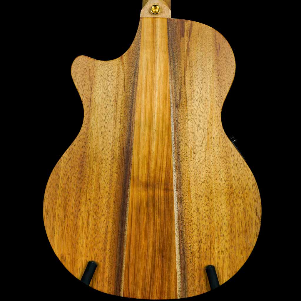 Cole Clark Angel 2 Series All Australian Blackwood Acoustic Electric Guitar