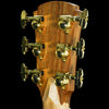 Cole Clark Angel 3 Series EC All Camphor Laurel Acoustic Electric Guitar
