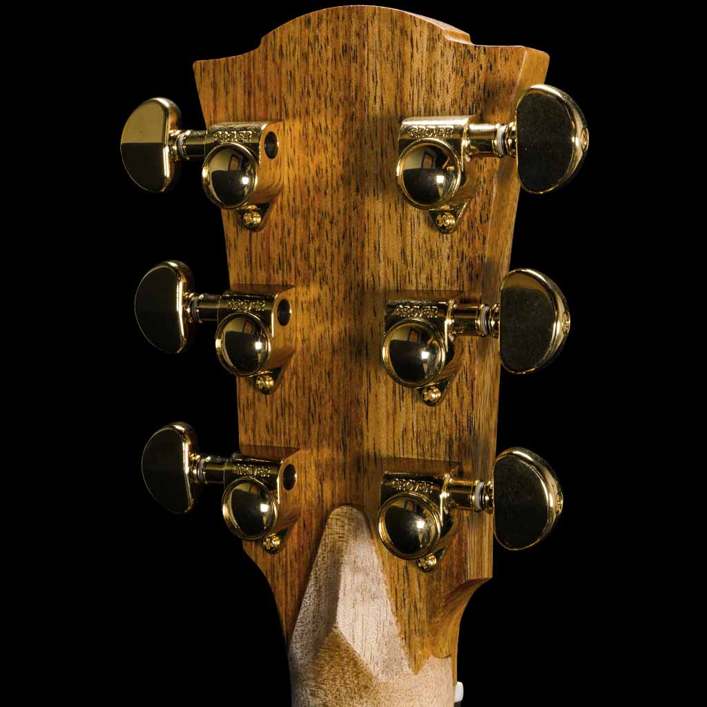 Cole Clark Fat Lady 2 Series EC All Solid Australian Blackwood Acoustic Electric Guitar