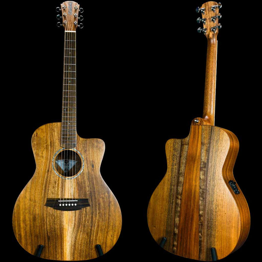 Cole Clark Studio AN All Australian Blackwood Acoustic Guitar