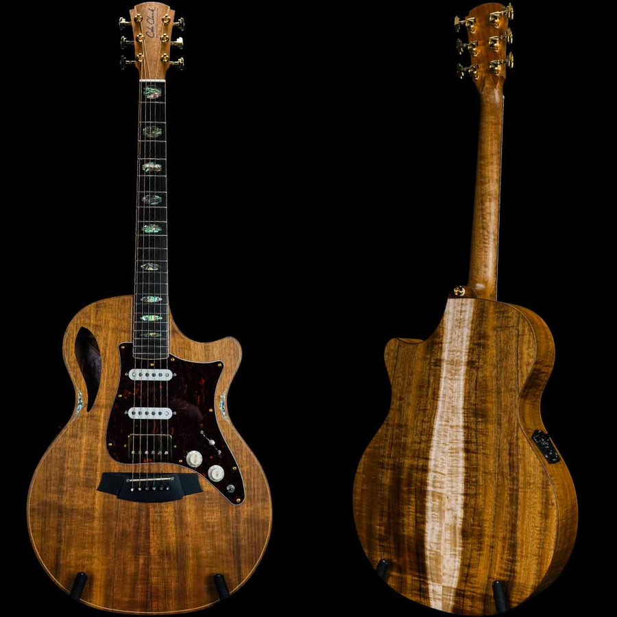 Cole Clark Thinline True Hybrid 3 Series HSS All Australian Blackwood Acoustic Electric Guitar