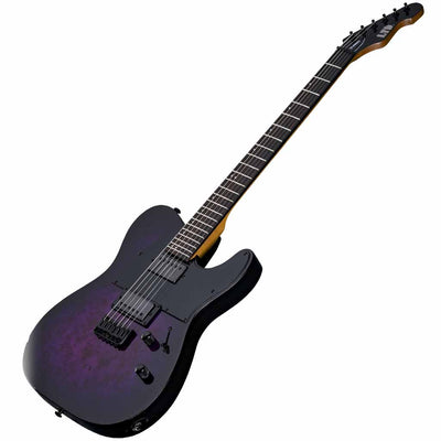 ESP LTD TE-200DX Electric Guitar in Purple Burst