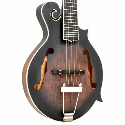 Gold Tone F-Style Mando-Guitar