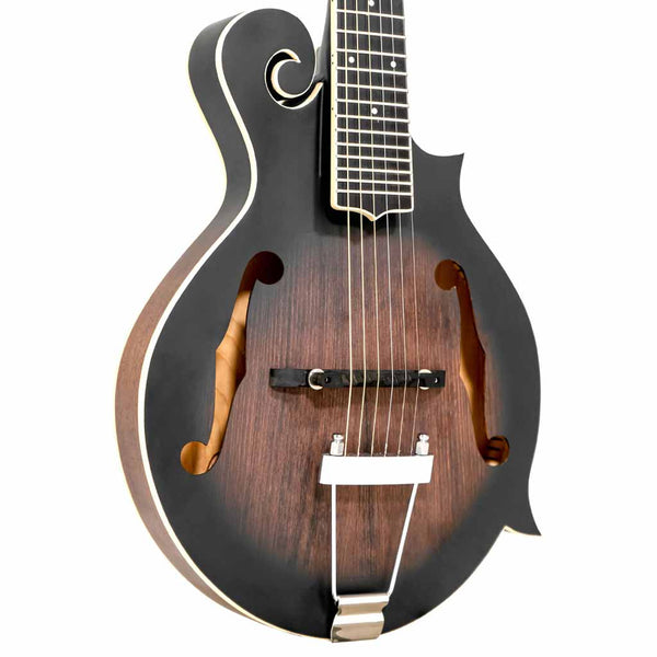Gold Tone F-Style Mando-Guitar Gold Tone Mandolin Yes, this is a GUITAR ...