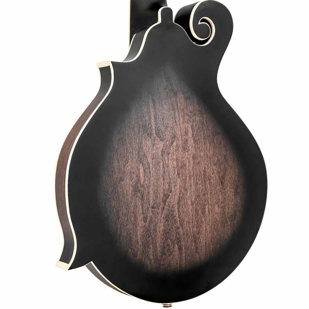 Gold Tone F-Style Mando-Guitar