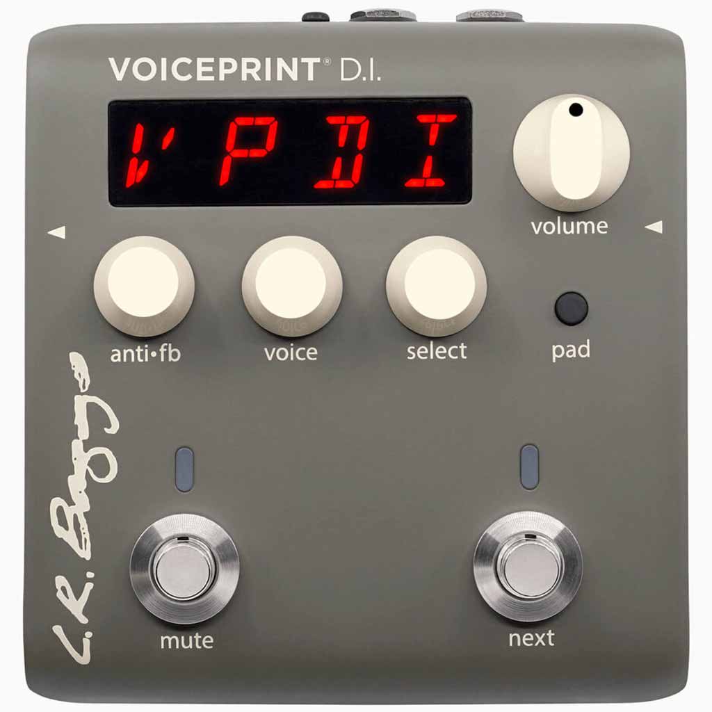 LR Baggs Voiceprint DI Acoustic Guitar Impulse Response Pedal