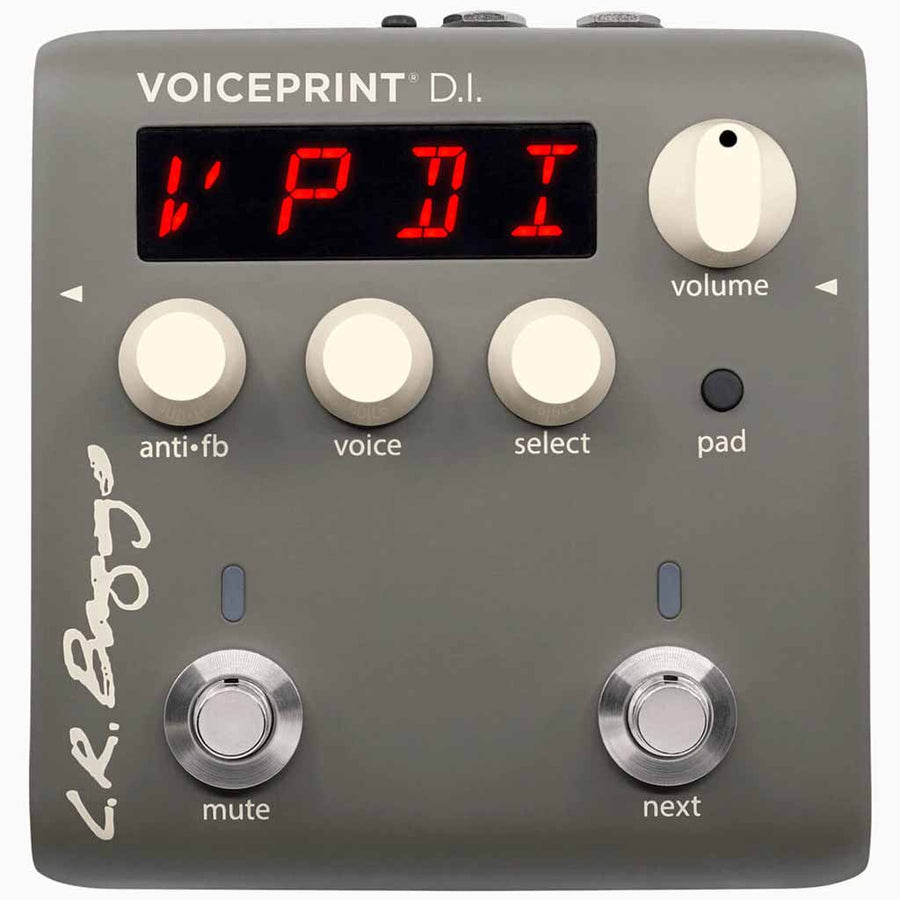 LR Baggs Voiceprint DI Acoustic Guitar Impulse Response Pedal