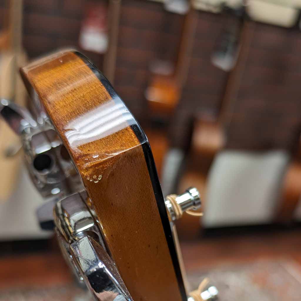 Larrivee D-09 Rosewood Artist Series Acoustic Guitar -Scratch and Dent Model-View of Dent