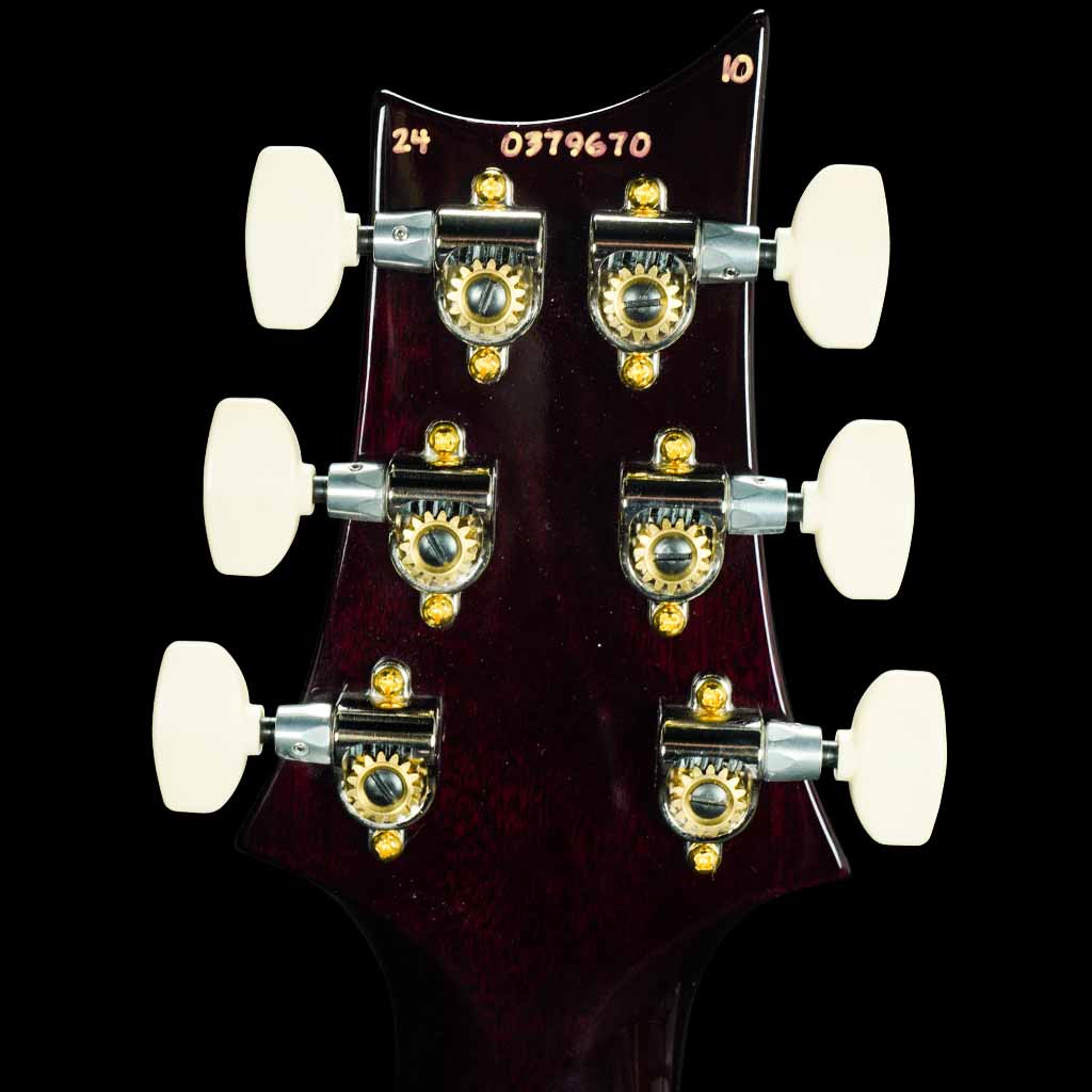 Paul Reed Smith Custom 24 10-Top Electric Guitar in Violet Wraparound Smokeburst