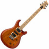 Paul Reed Smith SE Swamp Ash Special Electric Guitar in Vintage Sunburst