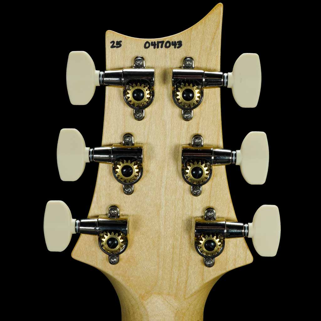 Paul Reed Smith CE 22 Limited Edition Electric Guitar in Carroll Blue