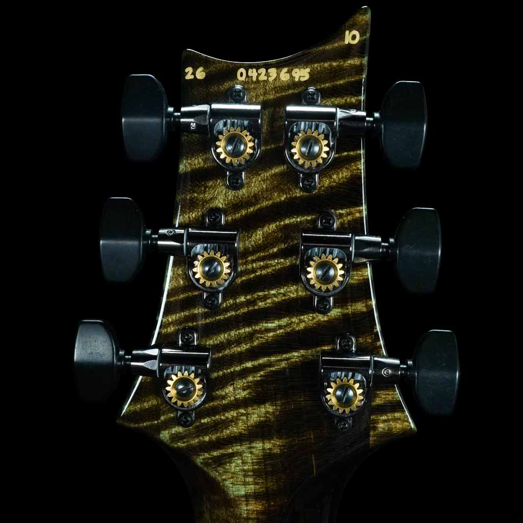 PRS Custom 24-08 Limited Edition Electric Guitar with DMO Pickups in Forest Moss (Custom Color)