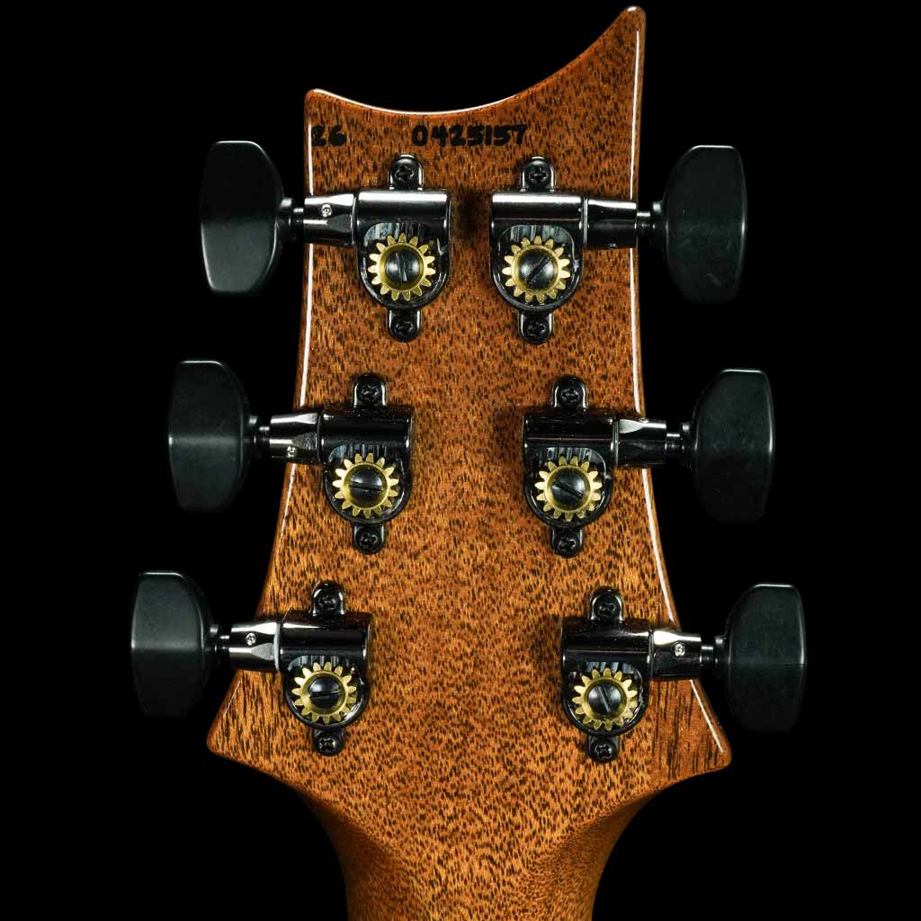 PRS Custom 24 Mango Top Limited Edition Electric Guitar in Violet