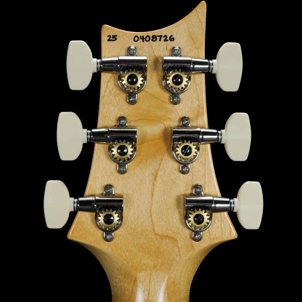 Paul Reed Smith NF 53 Electric Guitar in Black Doghair