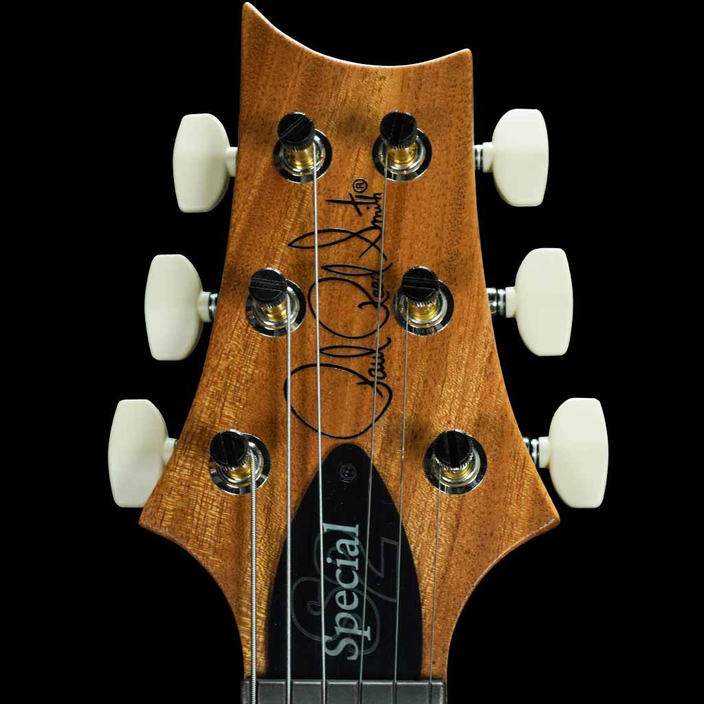 Paul Reed Smith S2 Special Semi-Hollow Reclaimed Limited Edition Electric Guitar