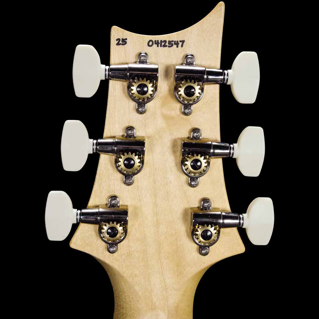 Paul Reed Smith Swamp Ash Special Maple Electric Guitar in Jasper Smokeburst