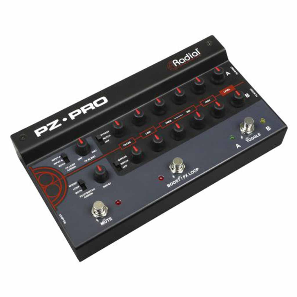 Radial PZ-Pro 2 Channel Acoustic Preamp