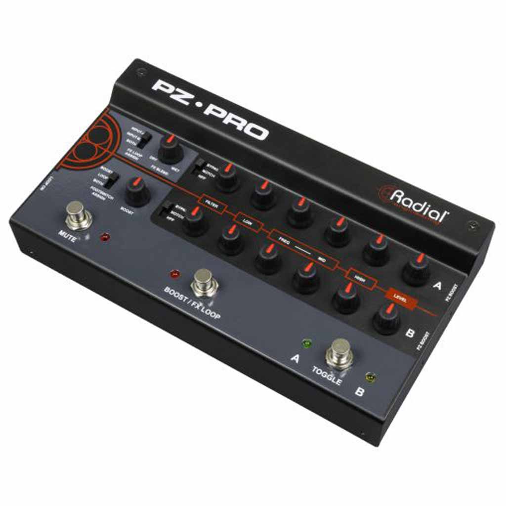 Radial PZ-Pro 2 Channel Acoustic Preamp
