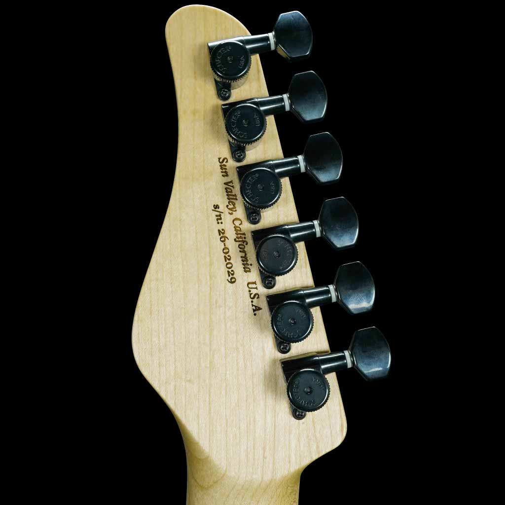 Schecter USA PT Custom Ebony Electric Guitar