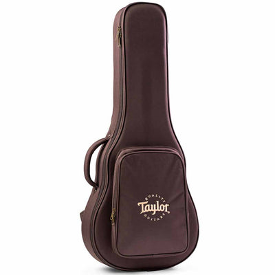 Taylor GS Mini AeroCase