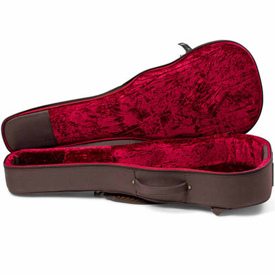 Taylor GS Mini AeroCase