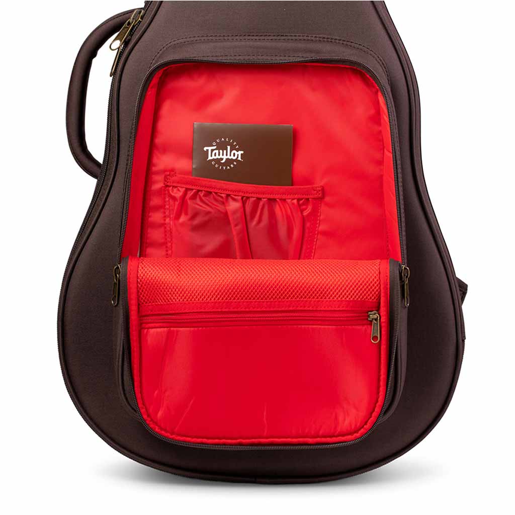 Taylor GS Mini AeroCase