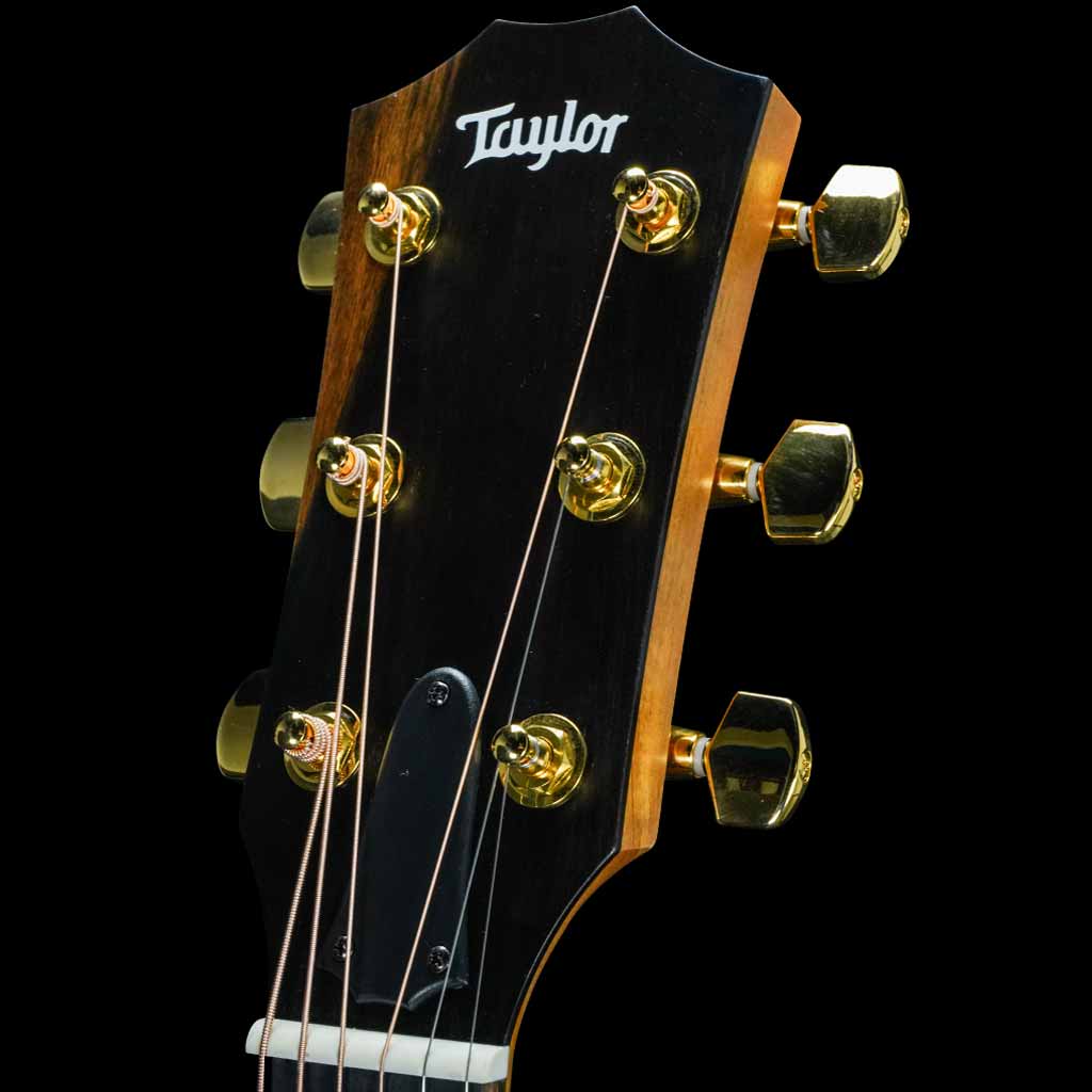 Taylor 224ce-K DLX All Hawaiian Koa Grand Auditorium Acoustic Guitar