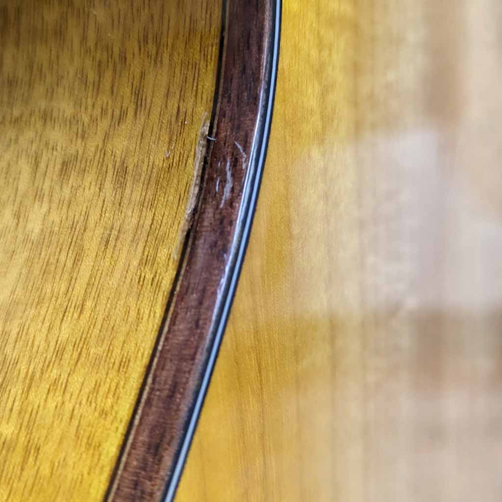 Used Breedlove Organic Artista Acoustic Electric Guitar Scratch