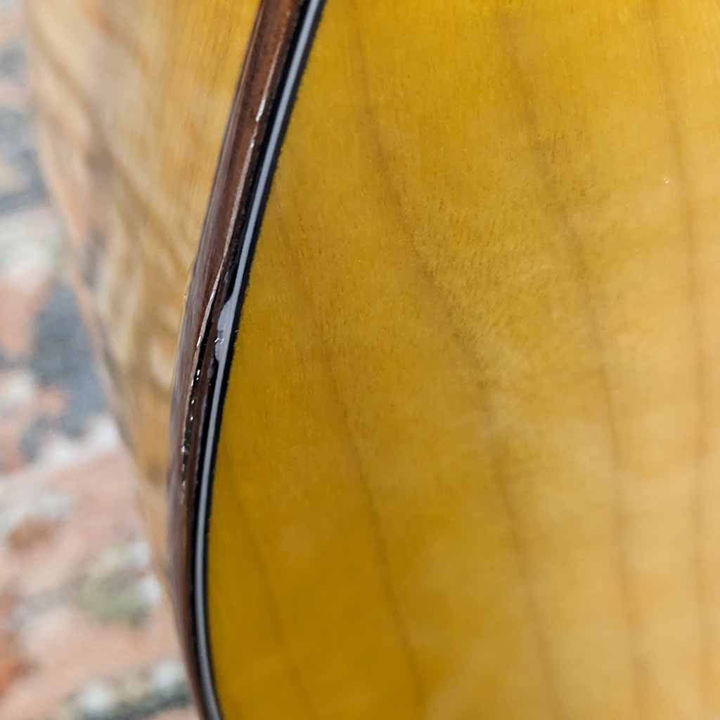 Used Breedlove Organic Artista Acoustic Electric Guitar Scratch