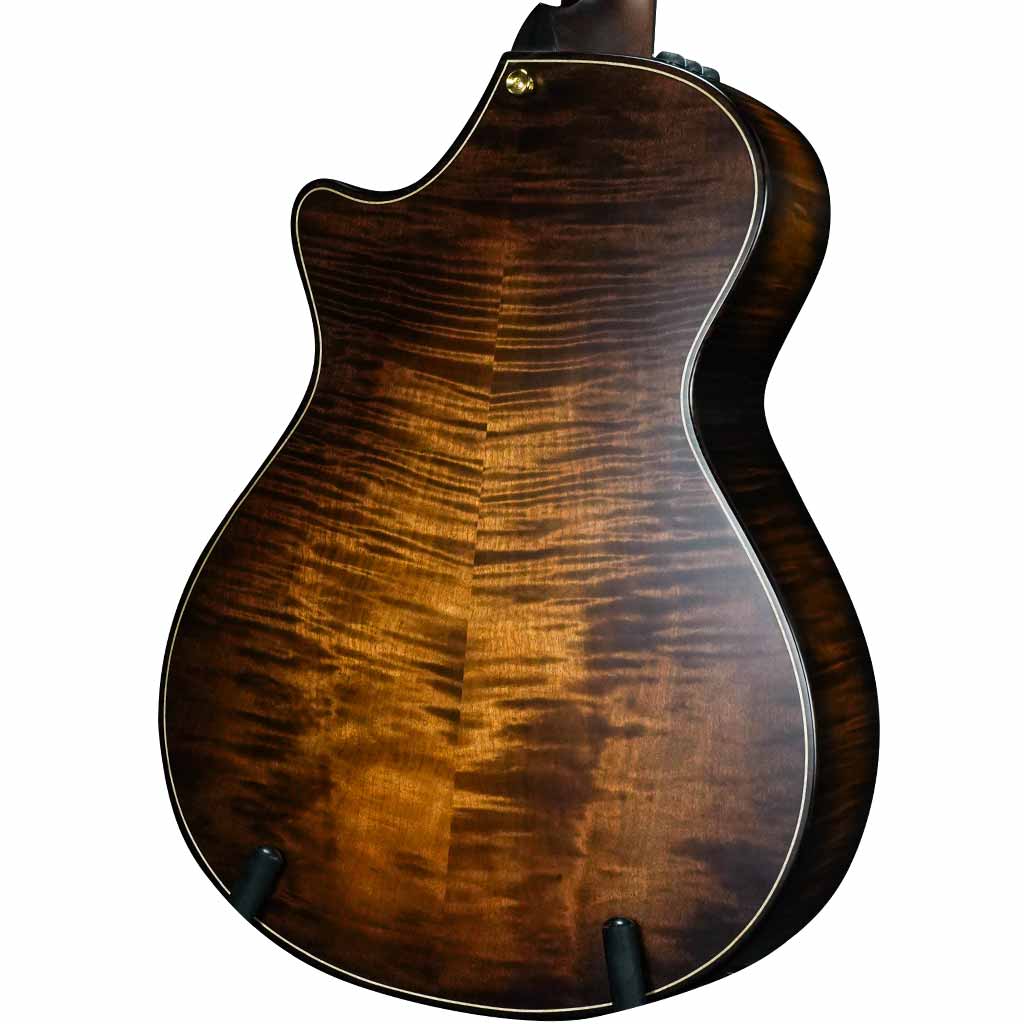Used Taylor 652ce Spruce and Maple 12-String Acoustic Guitar
