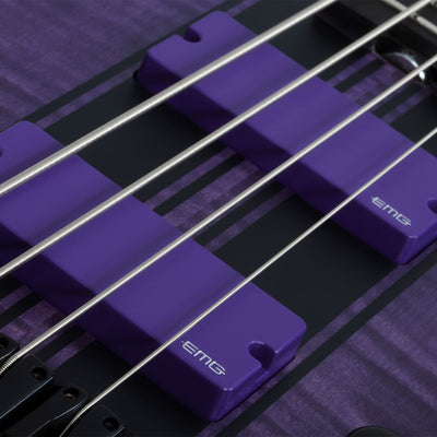 Schecter C-4 GT 4-String Bass Guitar in Satin Trans Purple