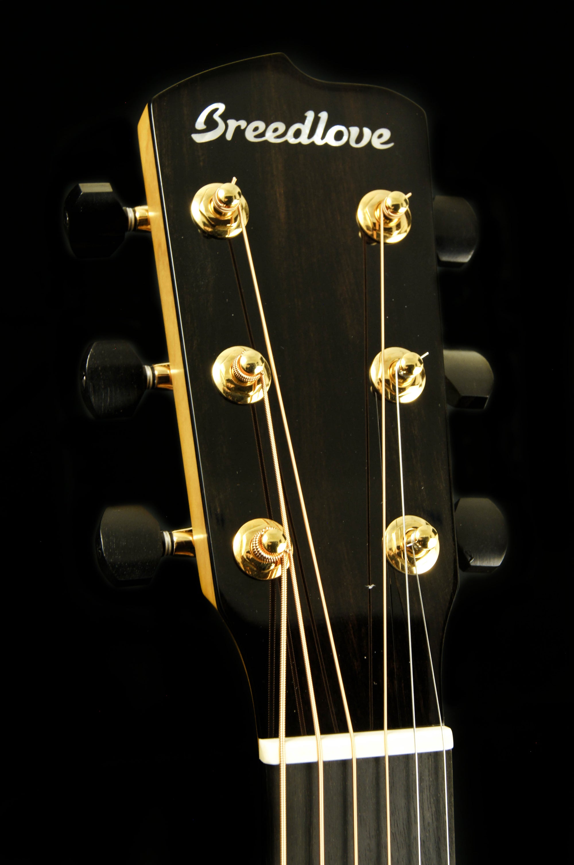 Breedlove Custom Built Sitka Spruce/Myrtlewood Concerto CE Acoustic Electric Guitar