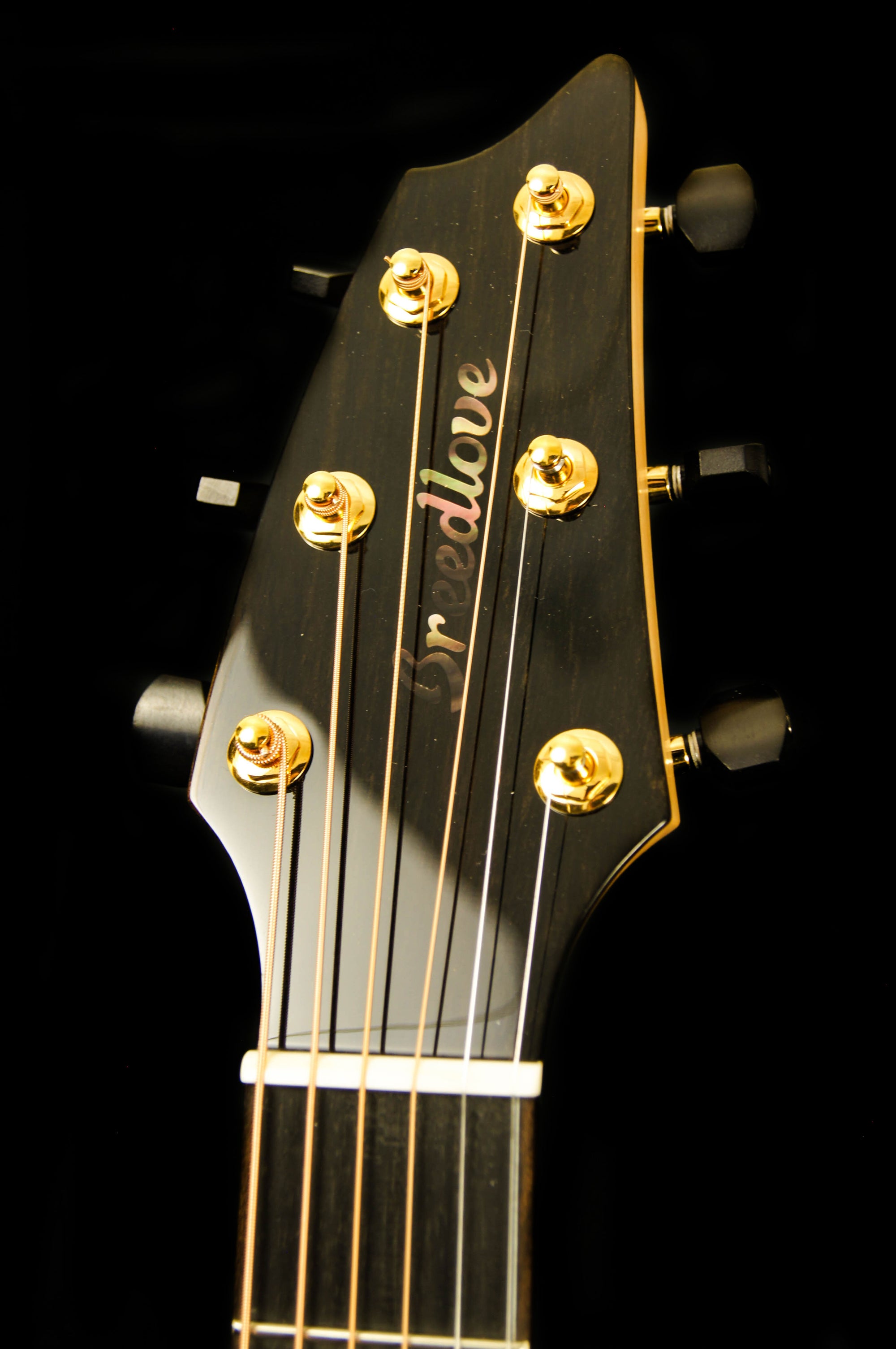 Breedlove Custom Built Concert CE Sunken Cedar/Ziricote Acoustic Electric Guitar